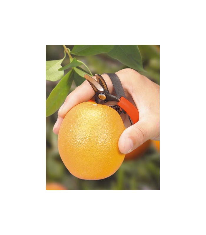 Tijera poda cítricos 10cm con correa Tijera poda cítricos 10cm con correa